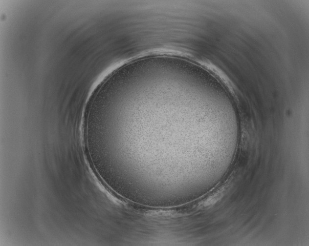 X0000082690902200702091654