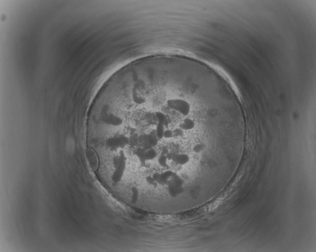 X0000082690903200702091654