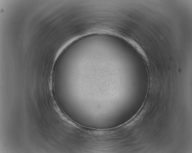 X0000082690904200702091654