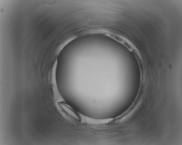 X0000082690905200702091654