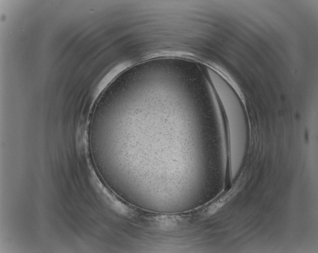 X0000082690906200702091654