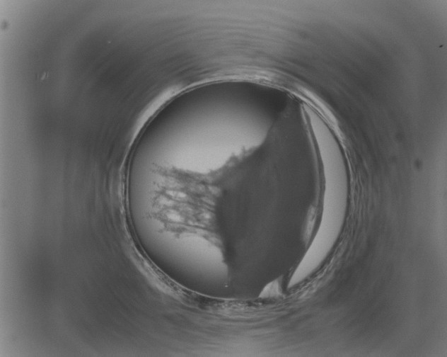 X0000082690907200702091654