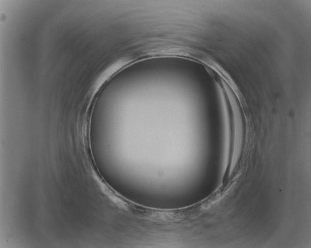 X0000082690909200702091654