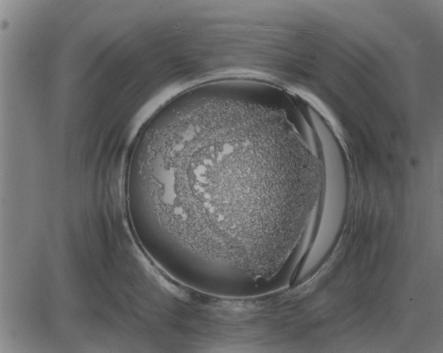 X0000082690910200702091654