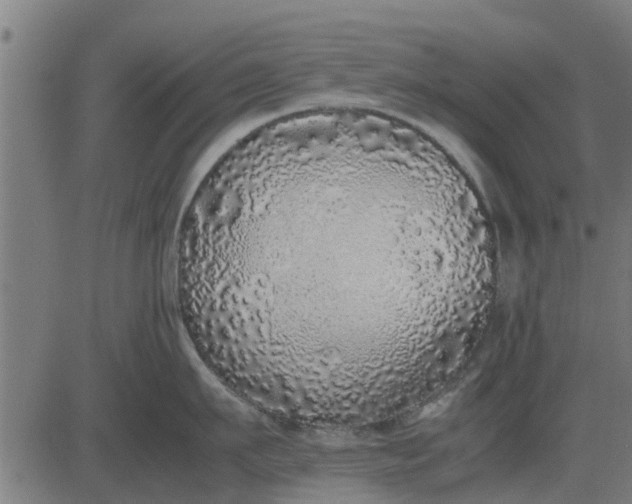 X0000082690911200702091654