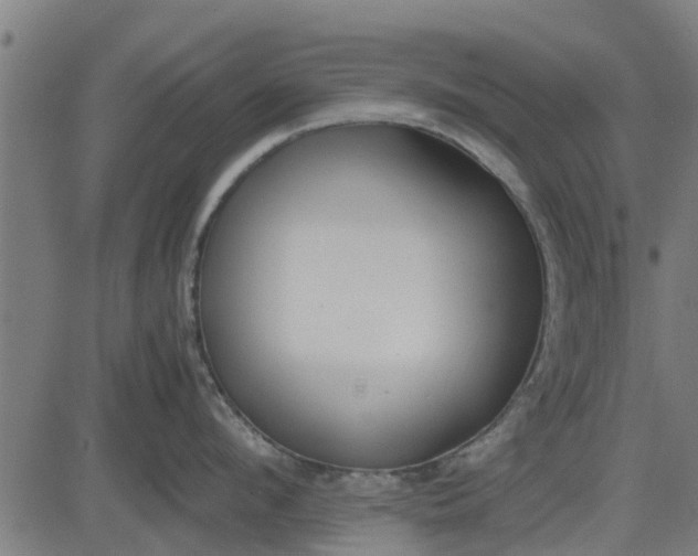 X0000082690912200702091654