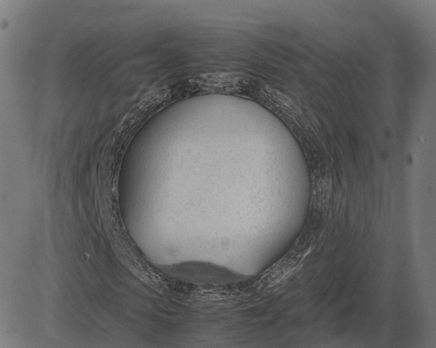 X0000082690913200702091653