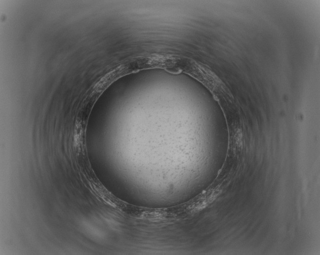 X0000082690914200702091653