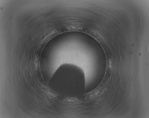 X0000082690915200702091653