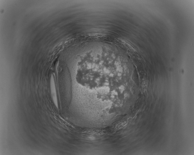 X0000082690917200702091653