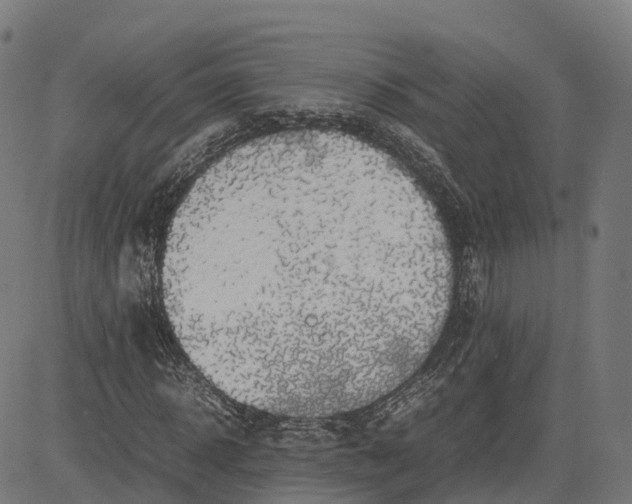 X0000082690918200702091653