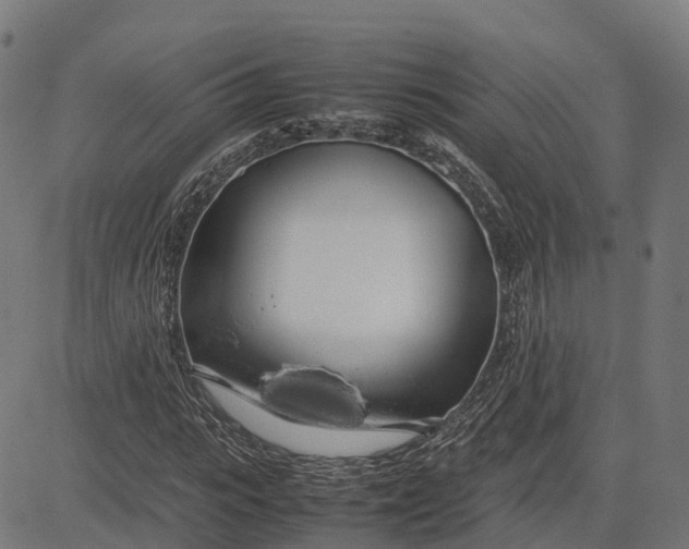 X0000082690919200702091653