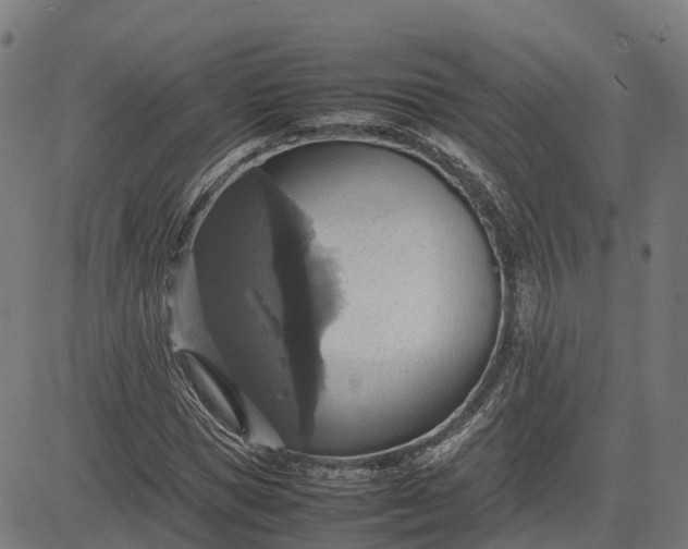 X0000082690921200702091653