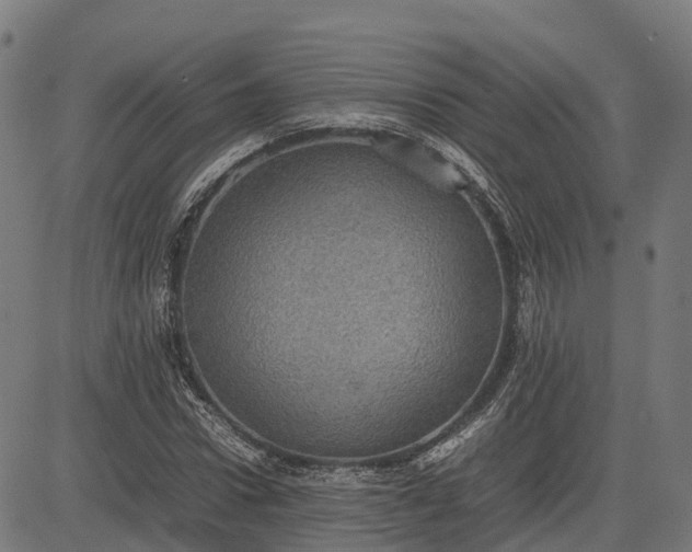 X0000082690922200702091653