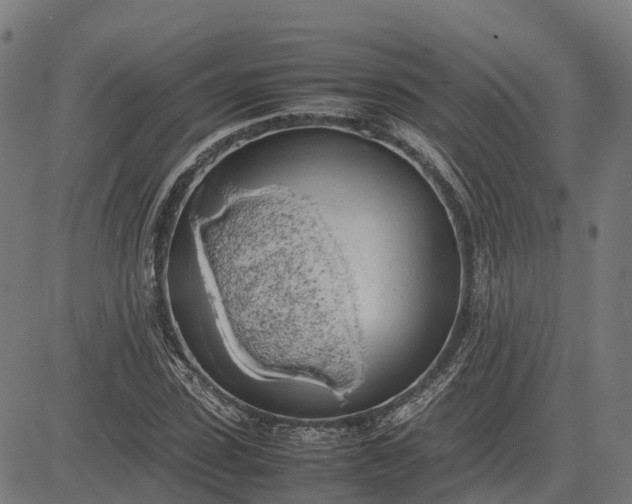 X0000082690923200702091653