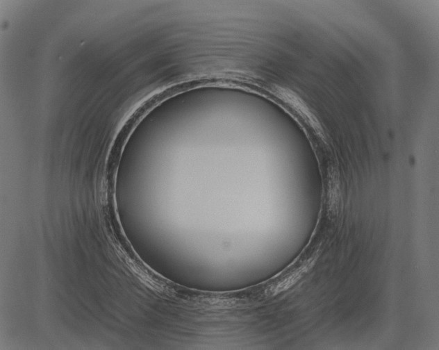 X0000082690924200702091653