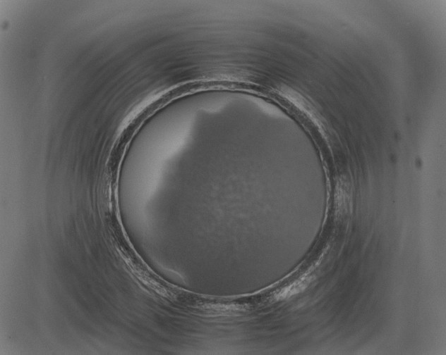 X0000082690925200702091653