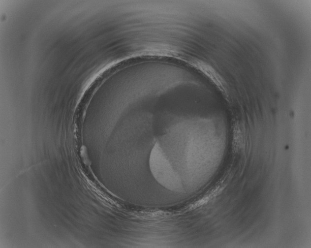 X0000082690926200702091653