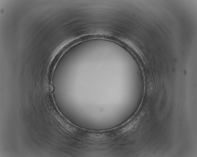 X0000082690927200702091653