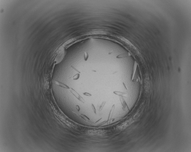 X0000082690929200702091653