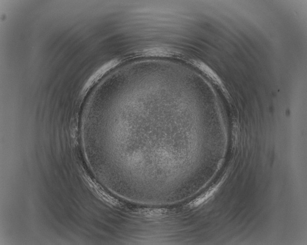 X0000082690930200702091653