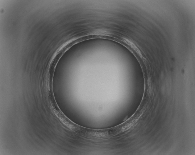 X0000082690931200702091653