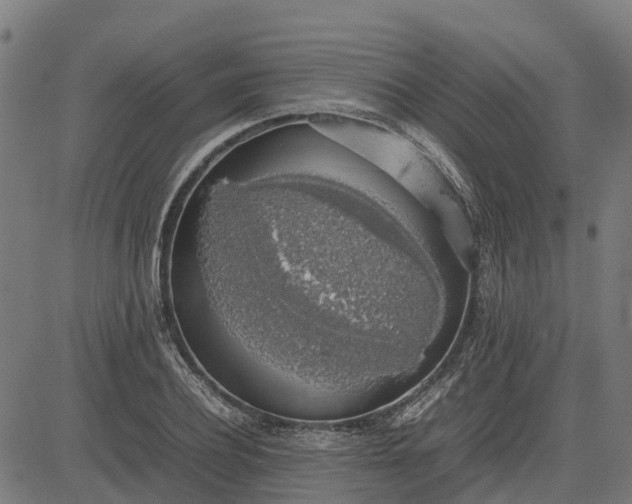 X0000082690932200702091654