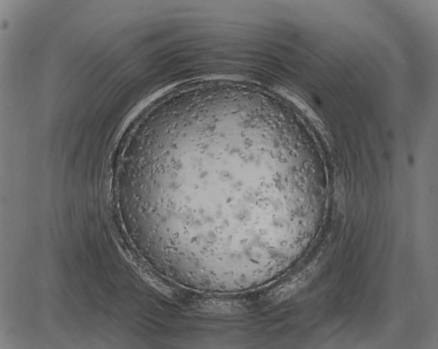 X0000082690933200702091654