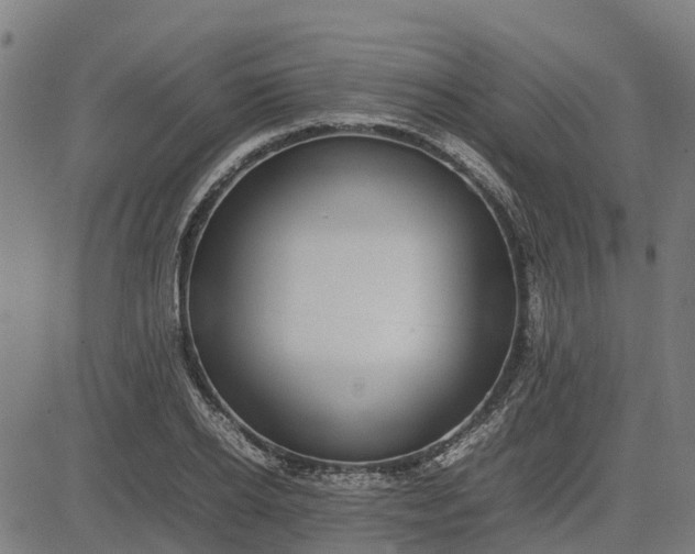 X0000082690934200702091654