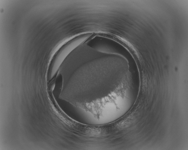 X0000082690935200702091654