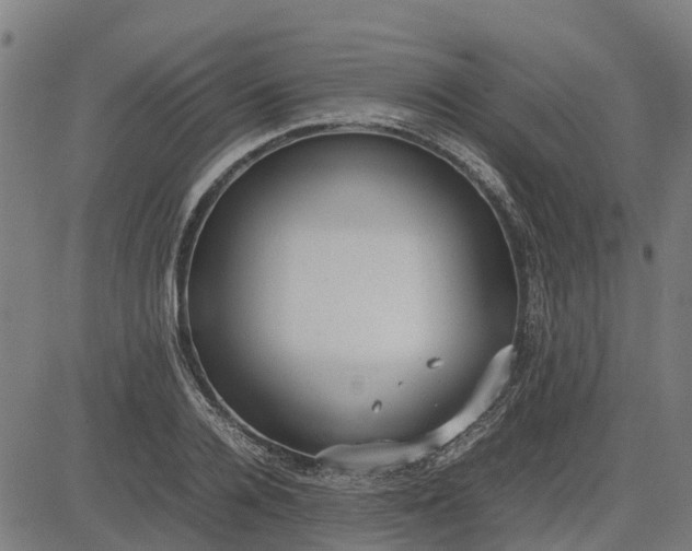 X0000082690936200702091654