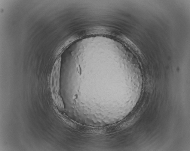 X0000082690937200702091654