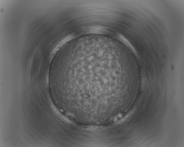 X0000082690938200702091654