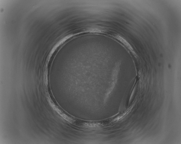 X0000082690939200702091654