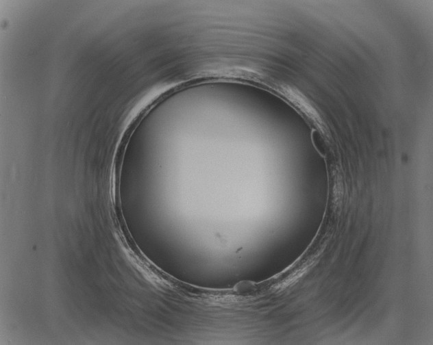 X0000082690940200702091654