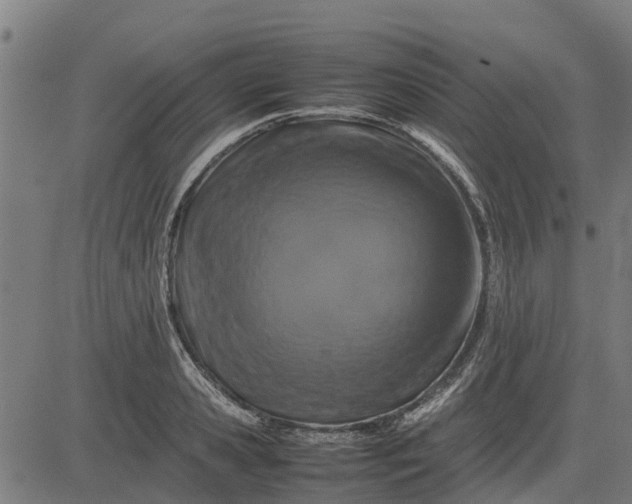 X0000082690941200702091654