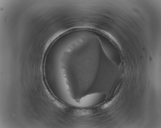 X0000082690943200702091654