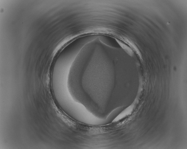 X0000082690944200702091654