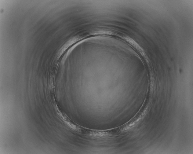 X0000082690945200702091654