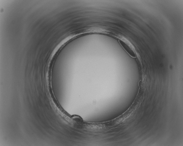 X0000082690947200702091654