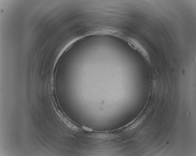 X0000082690948200702091654