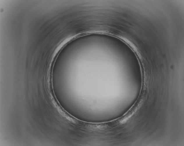 X0000082690949200702091654