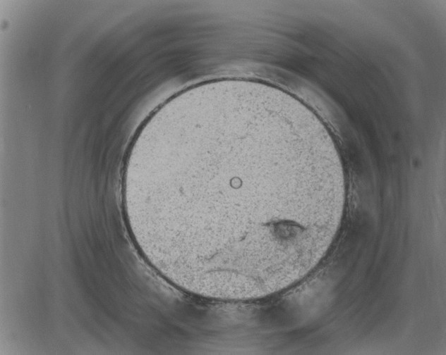 X0000082690950200702091654