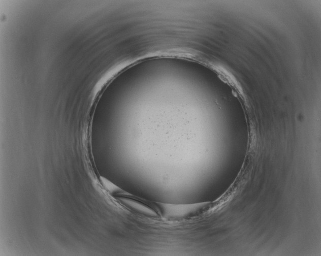 X0000082690952200702091654