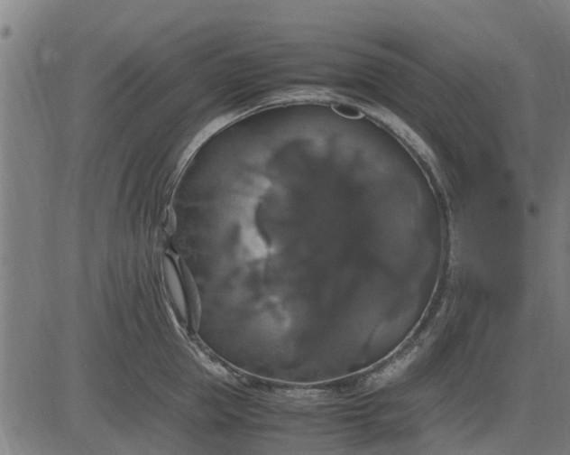 X0000082690953200702091654