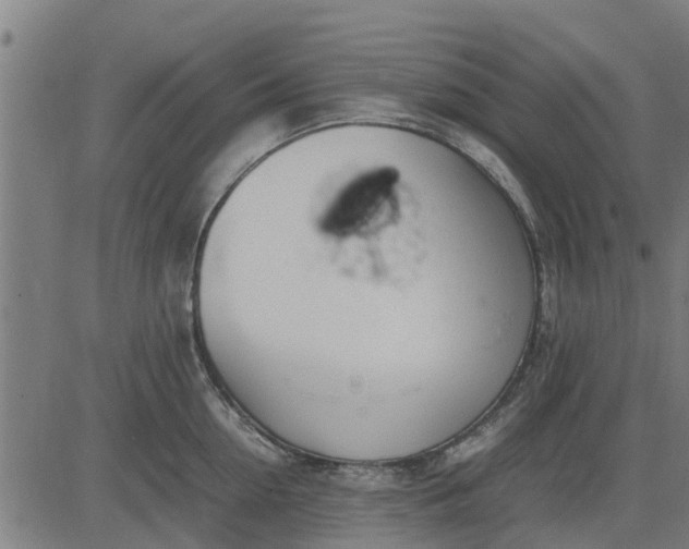 X0000082690954200702091654