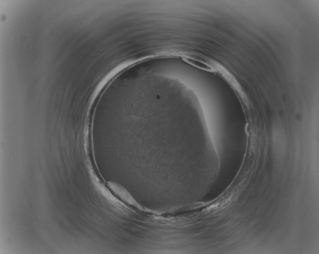 X0000082690955200702091654