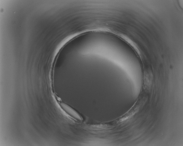 X0000082690959200702091654