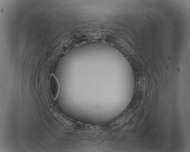 X0000082690961200702091653