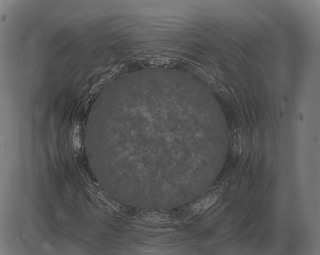 X0000082690962200702091653